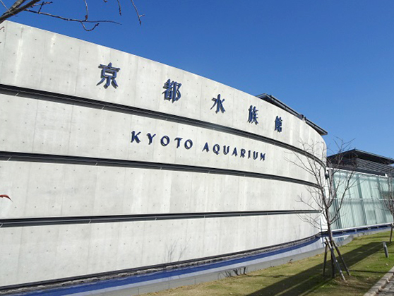 京都水族館