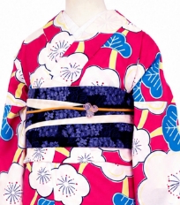 レンタル着物一例　6月〜9月夏物着物
