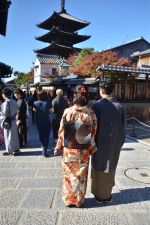 名古屋帯プラン