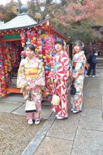 学割プラン