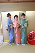 学割プラン