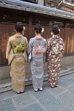 学割プラン