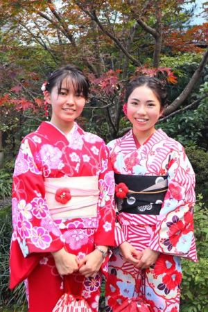 学割プラン
