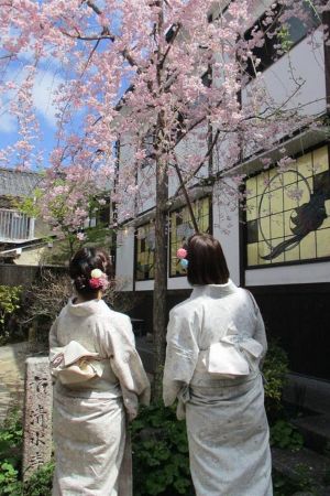 学割プラン