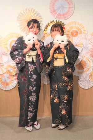 学割プラン