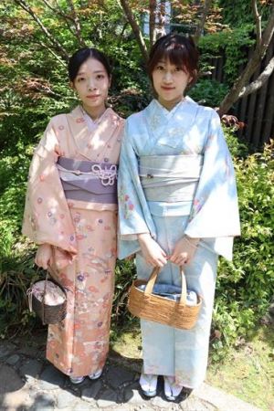 小紋
