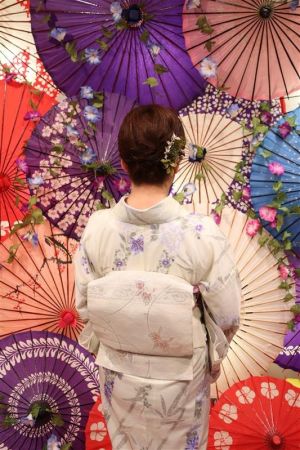 名古屋帯プラン