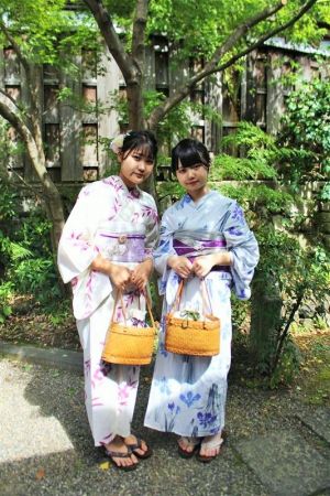 学割プラン