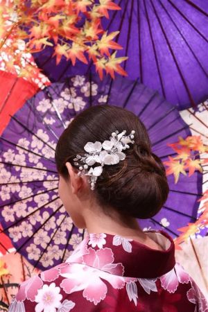 フリーチョイスヘアセット