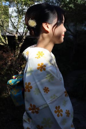 小紋