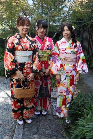 小紋