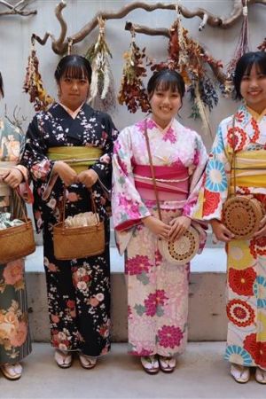 学割プラン