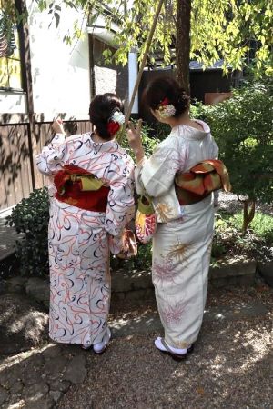 小紋