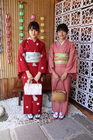 学割プラン