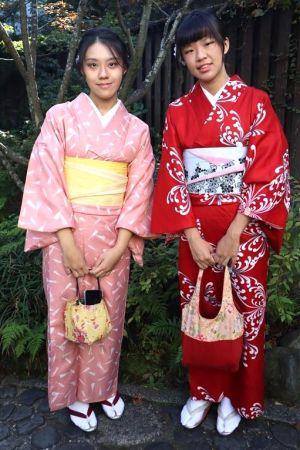 小紋