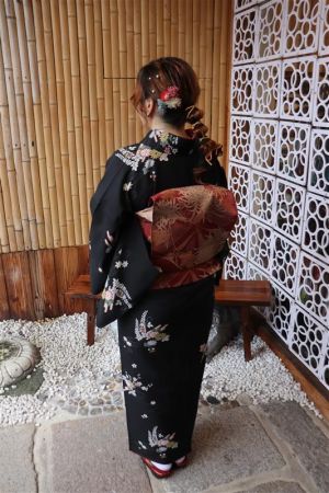 名古屋帯プラン