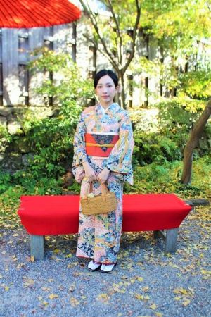 名古屋帯プラン