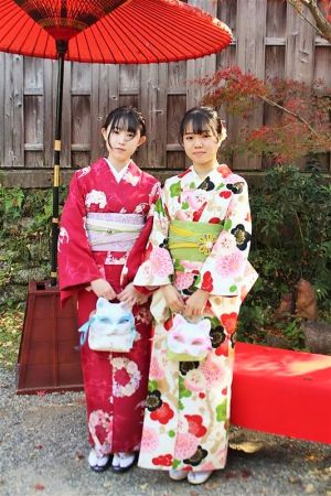 学割プラン