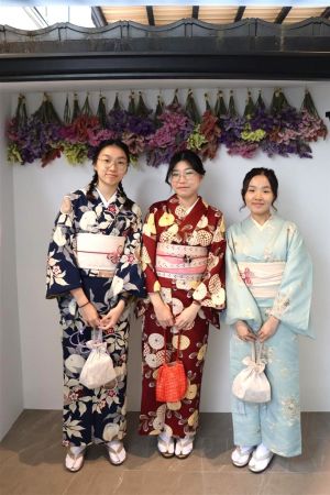 小紋