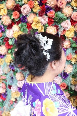 フリーチョイスヘアセット