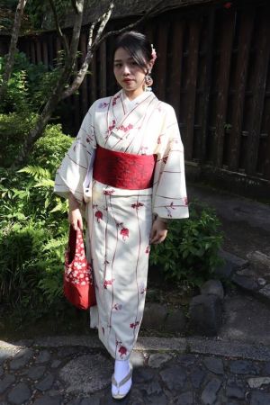 小紋