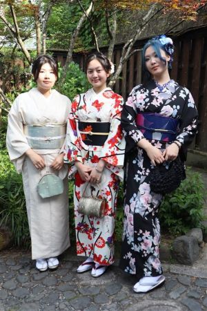 名古屋帯プラン