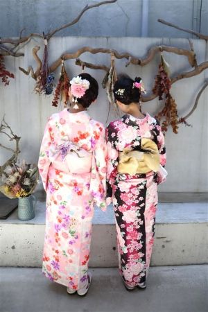 学割プラン
