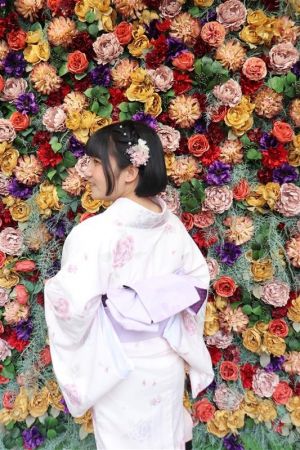 小紋