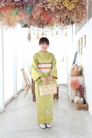 名古屋帯プラン