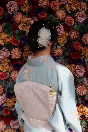 名古屋帯プラン