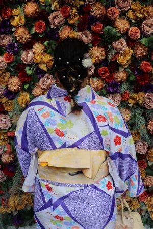 小紋