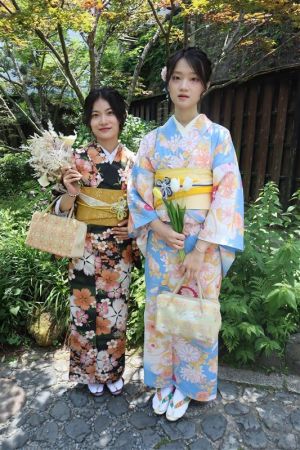 小紋