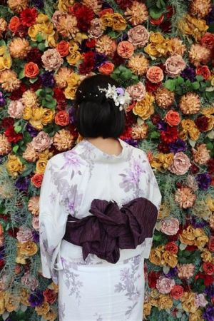 小紋