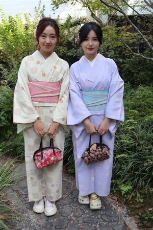 小紋