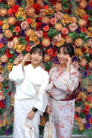 名古屋帯プラン