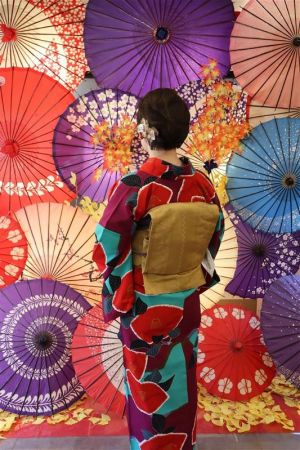 名古屋帯プラン