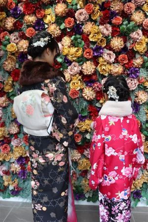 名古屋帯プラン