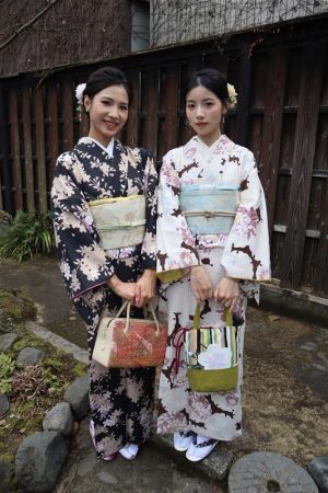 名古屋帯プラン