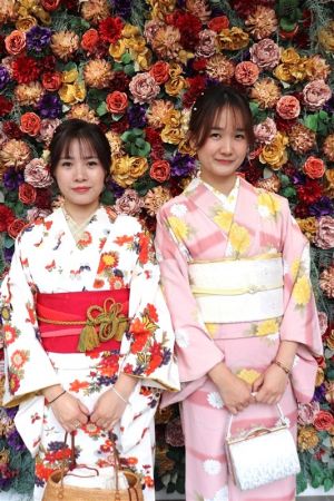 名古屋帯プラン