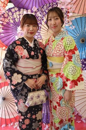 学割プラン