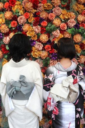 学割プラン
