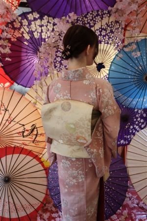 名古屋帯プラン