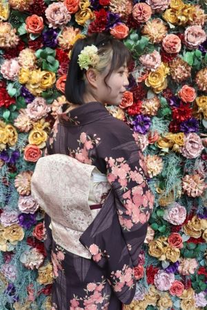 名古屋帯プラン