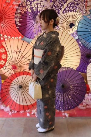 名古屋帯プラン