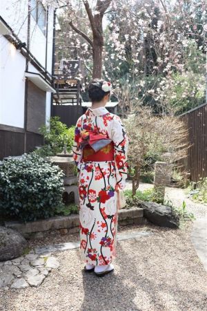小紋