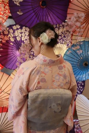 名古屋帯プラン