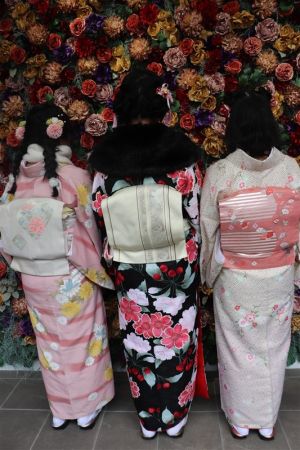 名古屋帯プラン