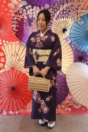 名古屋帯プラン