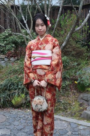 小紋