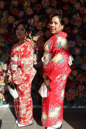 特別サイズ